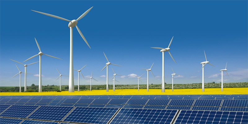 solar farm with wind turbines in daffodil field towards horizon