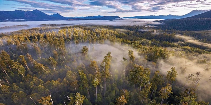 elevated view of Tasmanian world heritage area with fog in trees and mountains in background